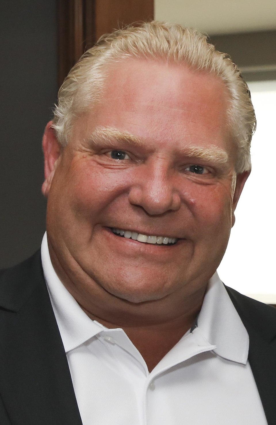 Ontario Premier Doug — Doug Ford in Toronto - 2018 (41065995960) (cropped)