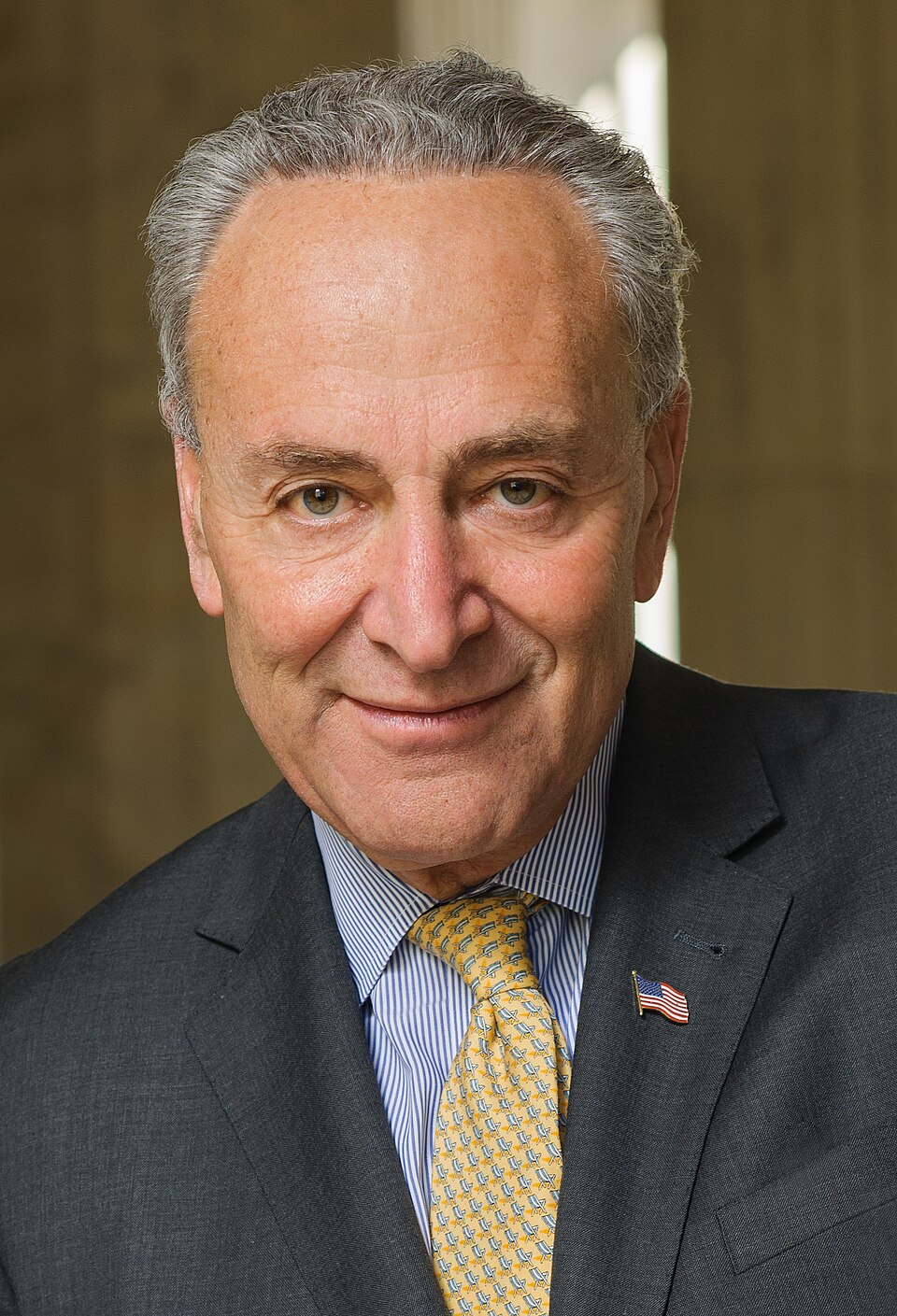 Chuck Schumer — Chuck Schumer official photo (cropped)